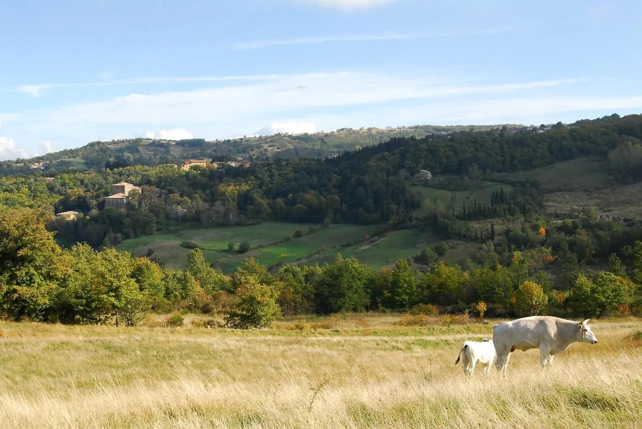 A Stay Surrounded By Greenery - Agriturismo La Piaggia - App 2 Bathrooms Vivo dʼOrcia Itália
